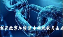 保加利亚数字加密货币的